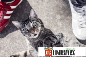 伊朗：美国尚未明确制裁将如何解除