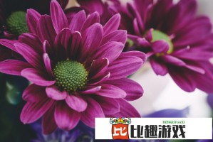 外交部为何紧急提醒在印巴中国公民？最新安全警示解读