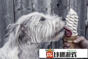 印巴核战一触即发？特朗普称美国关键时刻出手阻止