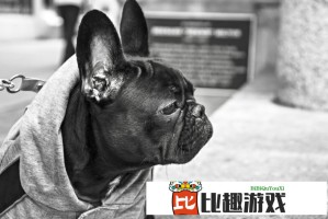 耀祖的来历与传说：一个家族的荣耀传承