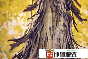 成人牙齿再生技术或将问世，牙科行业面临颠覆