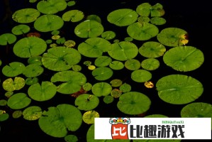 房琪《我赌你的歌词里有子弹》歌词赏析：为什么能引起如此共鸣？