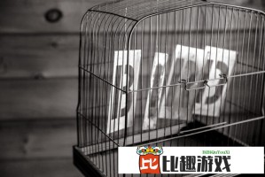 印巴停火协议能否长期维持？专家解析最新局势走向