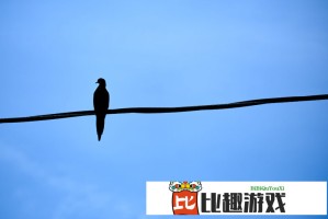 脊柱侧弯康复指南：这些动作做了会加重侧弯