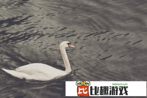 全网热议的'叔叔要冲刺了'梗解析，看完笑到肚子疼！