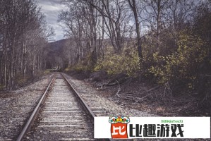 拼多多买花的人一定是天才？教你如何用最低价买到最美鲜花