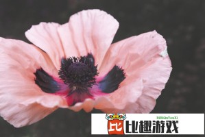 AG春决逐鹿中原，赛前数据全面解析