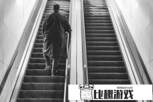当地回应丢那猩丢石块砸伤游客：已展开调查并加强防护措施