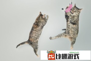 张峻豪演唱会地点时间全公布，你准备好抢票了吗？