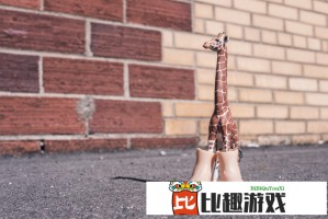 全红婵世界杯银牌背后：天才少女的成长之路