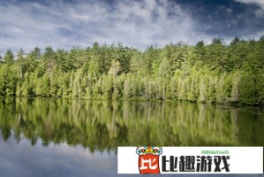 直播人数统计免费工具-在线观看实时数据分析