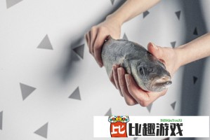 如何摆脱狗狗情感依赖：平衡宠物与个人生活，恢复正常作息