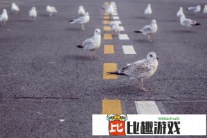 开心色穿搭术：这样搭配让你每天都有好心情