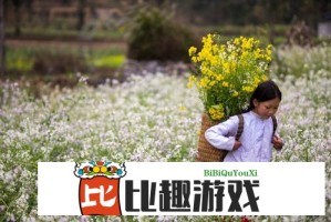 美味婆婆水母 vs 普通水母：口感与营养的全面对比