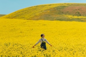 深度解析：藏海传与赴山海对打背后的制作团队与市场策略