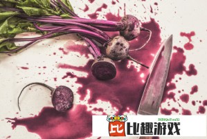 黄金网站大全OPPO：一站式体验最全面的OPPO产品信息