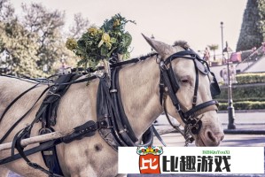亚洲欧洲日产国码韩国：揭秘不同地区的汽车编码差异