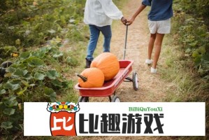 黑土ちゃん的腿法技巧视频网站，学习高效腿法训练，提升技巧水平不可错过
