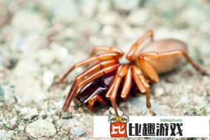 奥利弗·斯通回顾越战周年：我们不善于总结历史教训