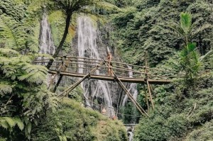 为什么年轻人都在用花色app？三大核心功能解析