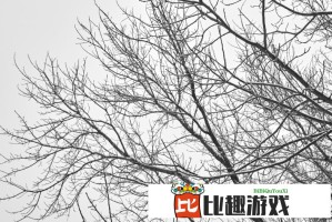 美国超市物价暴涨%的背后：通货膨胀已失控？普通人该如何自保？