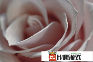 梅花奖在上海｜舞剧《朱鹮》，剧里剧外都是生命的赞歌