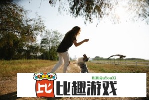 警方权威发布：保时捷撞人换牌案'历史命案'说法不属实