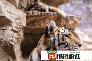 乘风破浪的姐姐：为什么这档综艺能持续火爆？