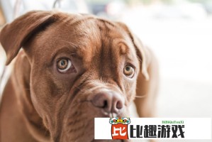 外国游客五一来华购物，中国消费升级迎来新机遇？