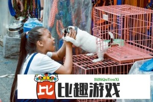 为什么欧美区要分一码二码三码？这些编码到底怎么区分？