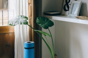 卡巴斯基安全部队激活码和密钥有什么区别？新手必看