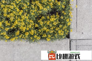 杨和苏演唱会嘉宾阵容曝光，神秘大咖助阵引期待