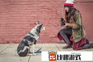哪里可以找到免费的漫画下载资源，选择哪个网站最靠谱呢？