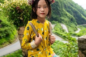 嘿呦一二呦背后的心理学：为什么这个动作如此洗脑