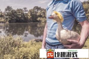 雪豹横尸路边疑被车撞，目击者称事发路段常有野生动物出没