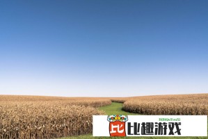 美国债市：国债抹去CPI数据后的涨幅 长债领跌