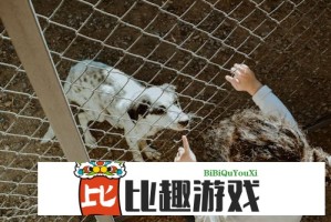 国外直播观众喜欢看什么？深度解析海外用户观看偏好