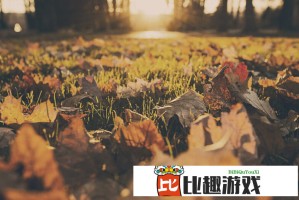 男子买牛油果水果切盘打开后傻眼了，商家回应引热议