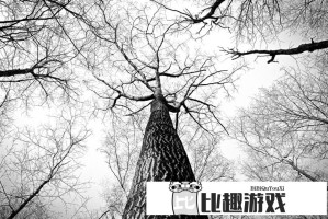 中华民族绝不允许台湾分裂！两岸统一势在必行