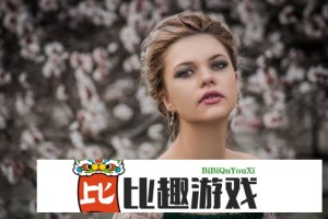 菠萝导航，如何选择最适合你的网站导航工具？