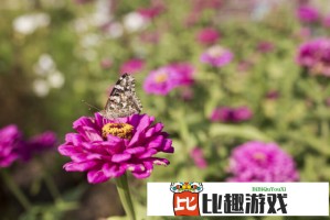 穆迪降级深化美债信用裂痕 债券卫士伺机而动