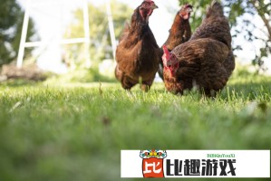 北航党委副书记杨立军调任中国航天科技集团副总经理