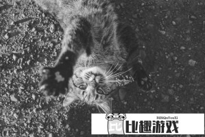 台湾人的餐桌文化：吃饭为什么总爱看新闻？