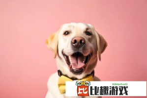 从甲亢哥保镖嚼嚼嚼看当代年轻人的网络狂欢文化
