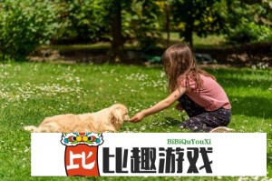 年最好用的免费视频播放器app推荐，高清流畅无广告