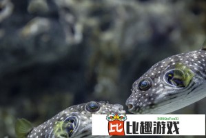 从耳朵取出年前的积木？英国男子离奇经历登上热搜