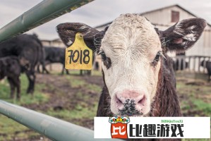 房琪《我赌你的歌词里有子弹》MV上线！画面与歌词的完美结合