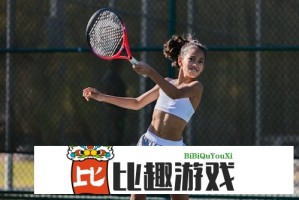 B站推广网站入口：新手如何快速上手？