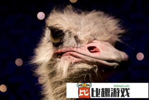 陕西首富范代娣夫妇的商业版图：从医药龙头到多元化发展的成功之路