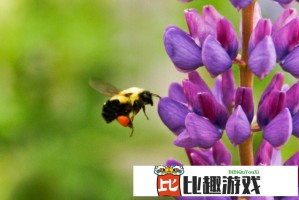 B站大全不收费？官方回应来了，真相让人意外！